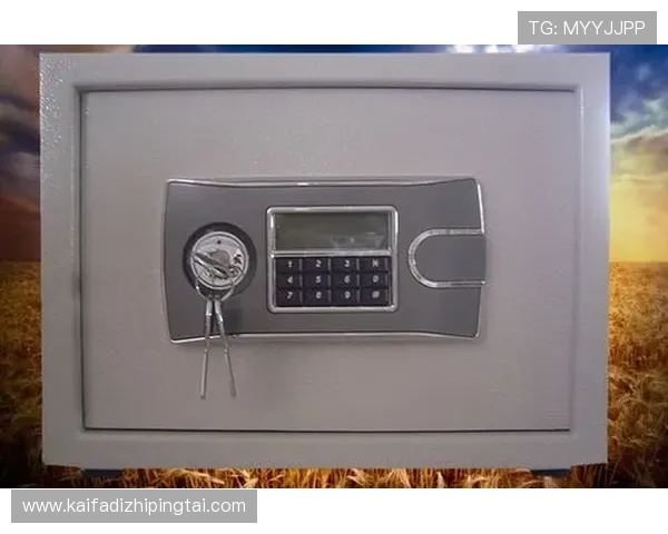 凯发k8官方客户端下载指南与操作流程介绍